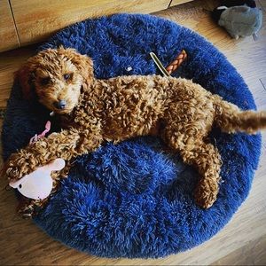 Meet your Posher, Karen